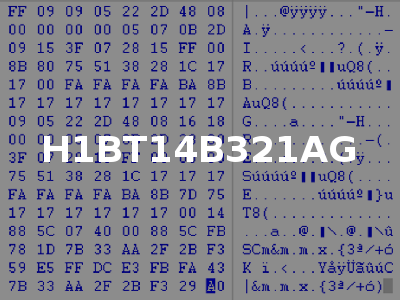 H1BT14B321AG