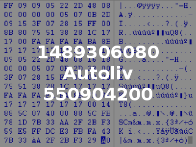 1489306080 Autoliv 550904200