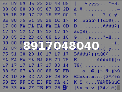 8917048040