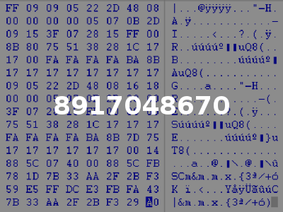 8917048670