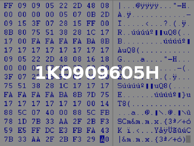 1K0909605H