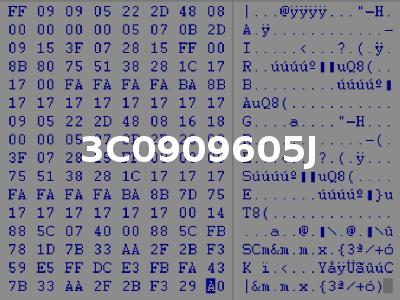 3C0909605J