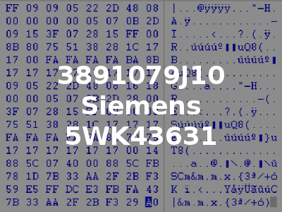 3891079J10 Siemens 5WK43631