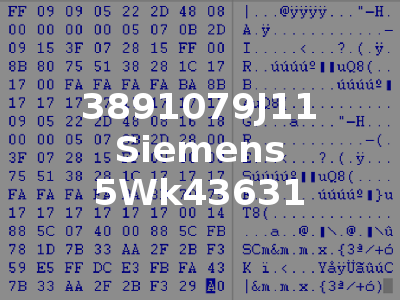3891079J11 Siemens 5Wk43631