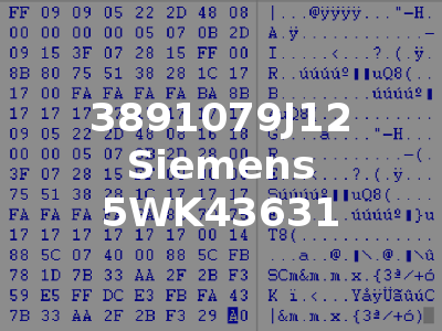 3891079J12 Siemens 5WK43631