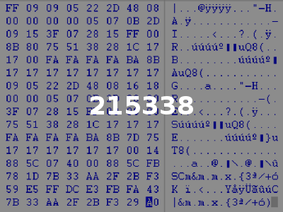 215338