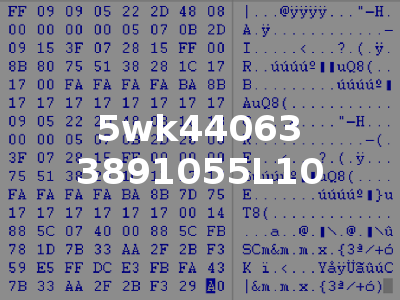 5wk44063 3891055L10