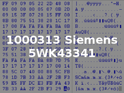 1000313 Siemens 5WK43341