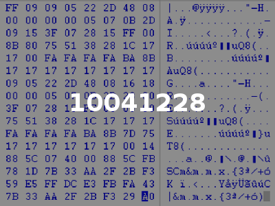 10041228
