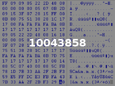 10043858