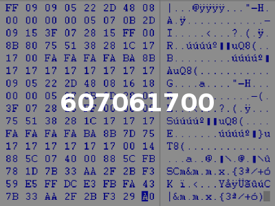 607061700
