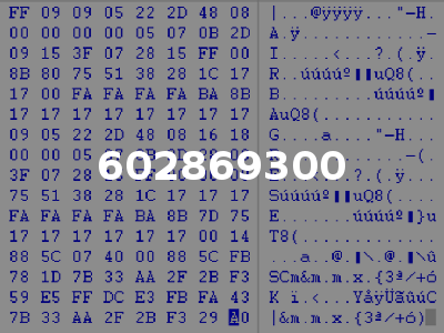 602869300
